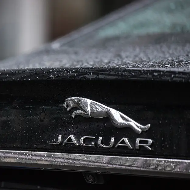 Close-up of a wet black Jaguar car with rain droplets, showing the silver leaping jaguar emblem and “JAGUAR” brand name beneath it at Holland's Highline Automotive, the destination for Jaguar repair in Bridgewater, MA.